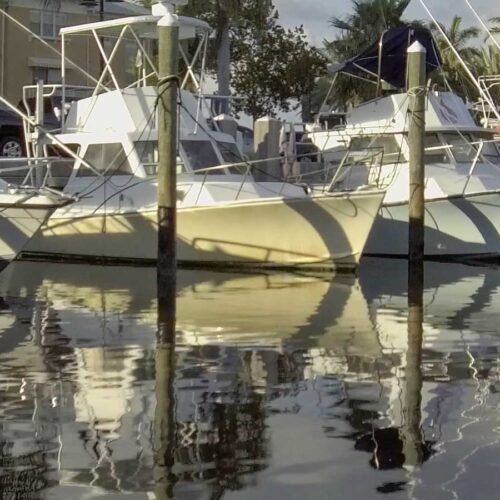 Palm Coast Marina